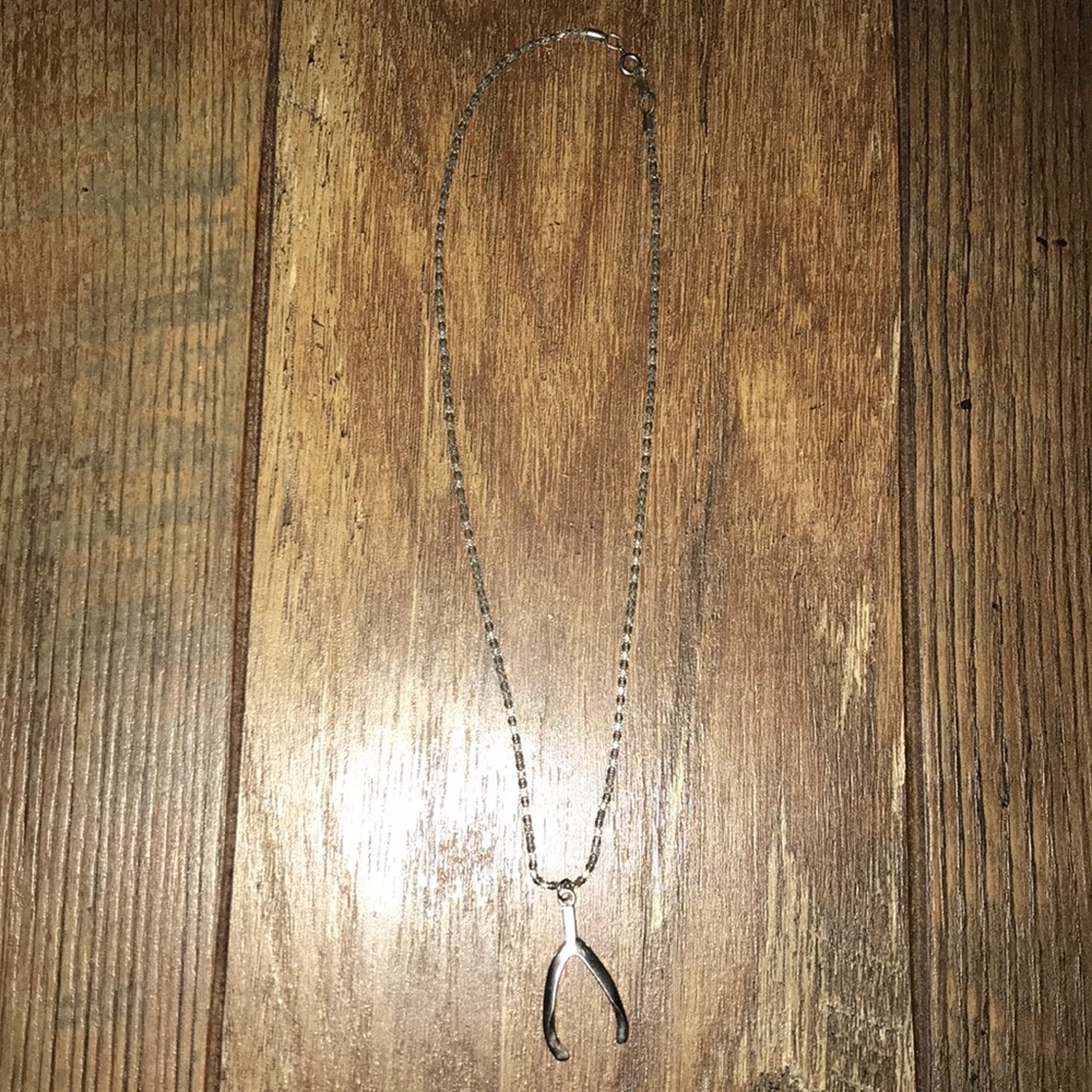 Silver Lucky Horseshoe Necklace